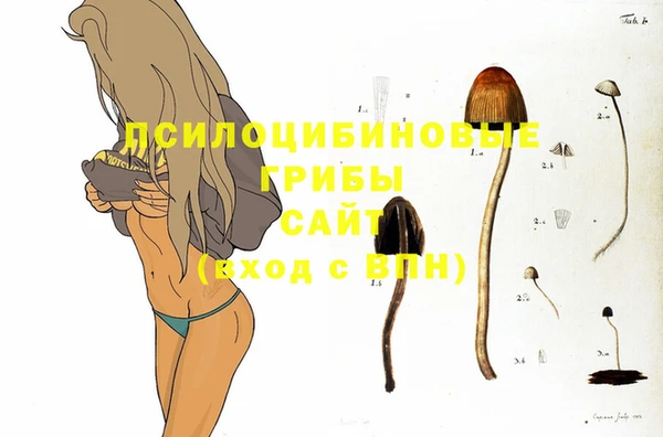 шишки Бронницы