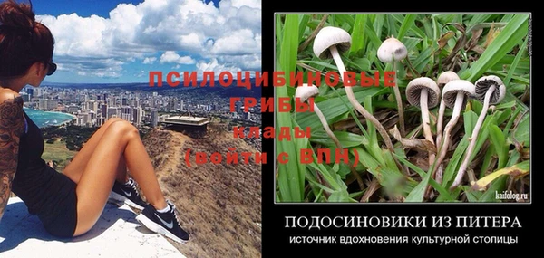 spice Нягань