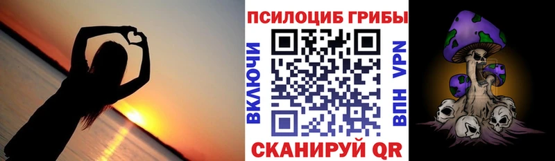 OMG маркетплейс  Краснообск  Псилоцибиновые грибы GOLDEN TEACHER  где можно купить  